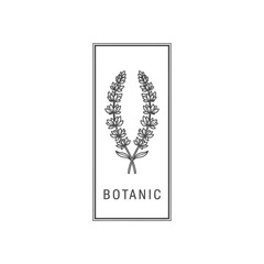 Minimalist botanic logo with hand drawn lavender sprigs.