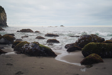 Atmospheric View of the Atlantic Ocean with Volcanic Beach, Moss-Covered Stones, and Dark Wet Sand.  Azores © Анико Мкртычян
