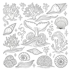 Oceanic illustration featuring various marine elements and creatures in detailed line art.