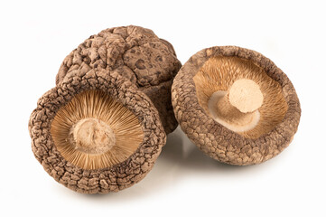  Dry shiitake mushrooms isolated on white background
