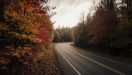 Obraz premium Scenic country road winding through a forest of vibrant autumn colors.