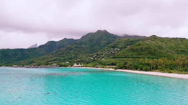 Scenic Aerial shot of Plage de Temae Public Beach in Moorea French Polynesia