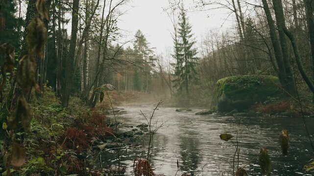 View of a forest river in autumn as some grass begins to change color, with overcast weather and light mist hovering above the water.