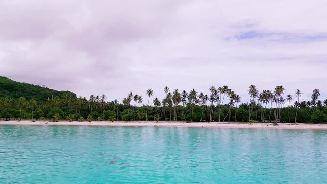 Scenic Aerial shot of Plage de Temae Public Beach in Moorea French Polynesia