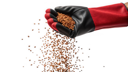 Hand wearing a red and black glove pouring small brown seeds or grains onto a transparent background isolated on transparent background
