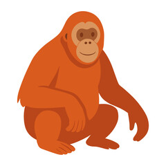 Cute Orangutan Sitting Calmly Illustration