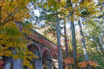Obraz premium The weathered red brick arches of a historic Roman-style aqueduct are partially visible, surrounded by tall trees with bright yellow and red autumn foliage in Kyoto, Japan.