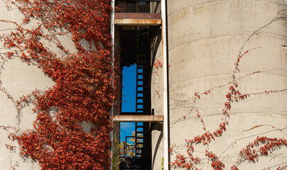 Iron Fire escapes heading up and down the old concrete and red vine covered concrete malt factory storage tanks
