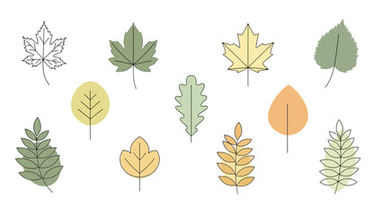 Collection of Hand-Drawn Autumn Leaves in Various Shapes