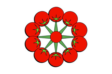 A creative circular arrangement of fresh tomatoes forming a unique color wheel on a clean white background, showcasing natural produce tones in a minimal, modern, and visually balanced composition