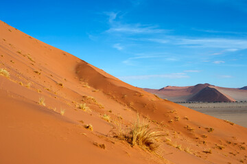 desert sand dunes  Sossusvlei, Namibia
