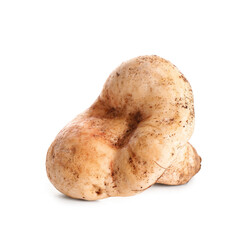 Fresh mushroom isolated on white background, closeup