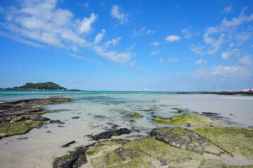 fine sea view with mossy rocks and far island