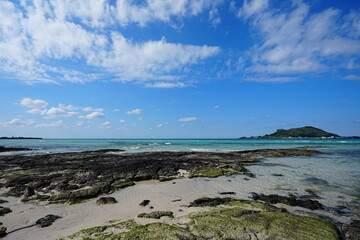 fine sea view with mossy rocks and far island