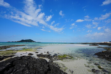 fine sea view with mossy rocks and far island