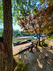 View of the lake pond from the shore, benches and trees trees, natural landscape during the day