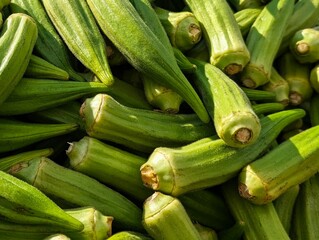 fresh okra on the market