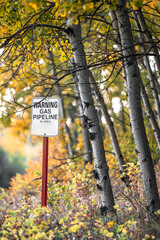 gas pipeline sign in the woods 