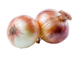 Two whole golden onions with dry skin on a black background