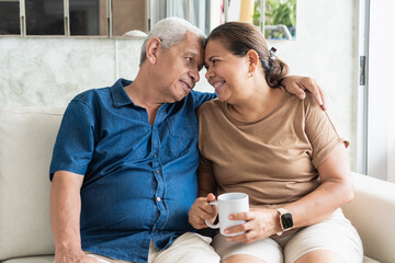 Senior couple sharing loving moment at home