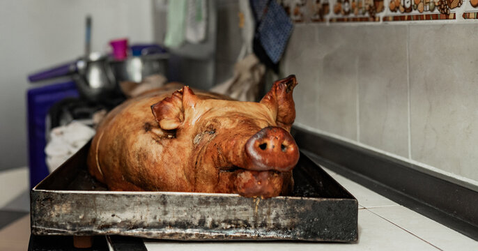 Cochinillo entero asado en bandeja met&aacute;lica dentro de cocina tradicional
