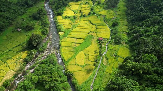 A tilt-up aerial of vibrant rice fields and winding river rising toward forested hills near Quinawan Beach in Bataan, Philippines