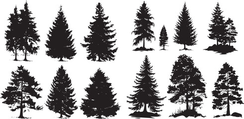 Set of Pine trees in silhouettes