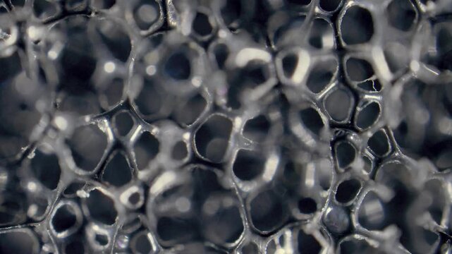 Black, open-cell polyurethane sponge structure under microscope
