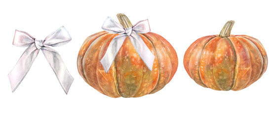 Watercolor set with orange pumpkin with ribbon bow isolated on white background. Autumn vegetable raw food for sticker or halloween card. Clipart for kitchen. Wallpaper and wrapping or textile