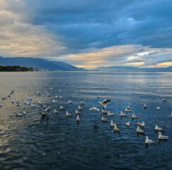 Fototapety na wymiar - Fototapeta24.pl