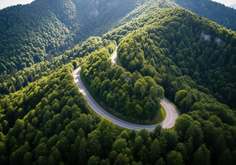aerial view of a road in the middle of the forest