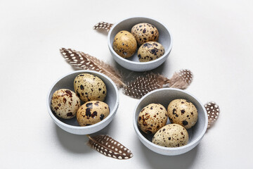 Bowls with fresh quail eggs and feathers on grey background