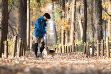 秋の公園で犬と散歩を楽しむ男性の笑顔とペットとの時間の全身