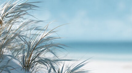 Obraz premium Serene beach scene featuring delicate grass against a calm blue ocean backdrop, evoking tranquility and natural beauty.
