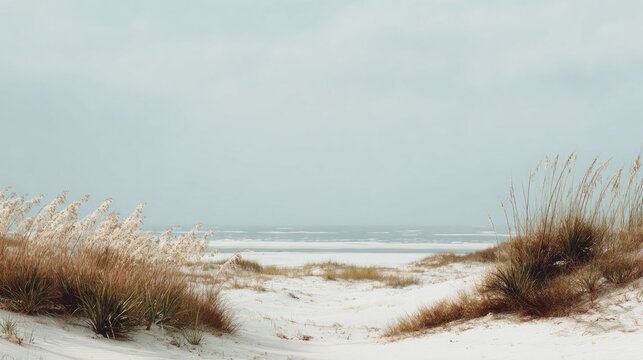 A serene coastal scene featuring soft sand dunes and gentle grasses, with a calm ocean in the distance under a hazy sky.