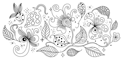 Hand drawn botanical florish decorative element