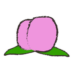 もものイラスト