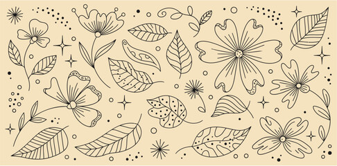 Hand drawn botanical florish and leaf decorative element