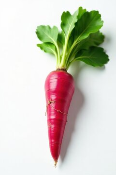 Fresh ginseng root, vibrant, clean, white backdrop , vegetable, vibrant, panax