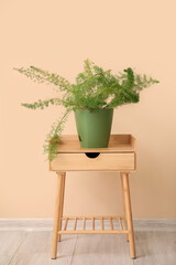 Table and houseplant near beige wall