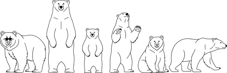 Set of standing and walking bear silhouettes in different poses, minimal black and white line art wildlife illustration vector collection
