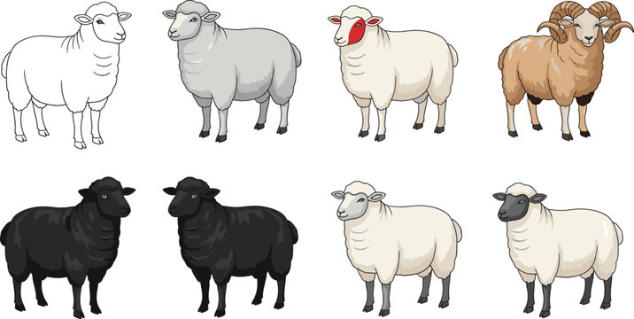 Colorful sheep and ram cartoon illustration set showing different breeds and wool colors, friendly farm animal vector collection for agriculture designs