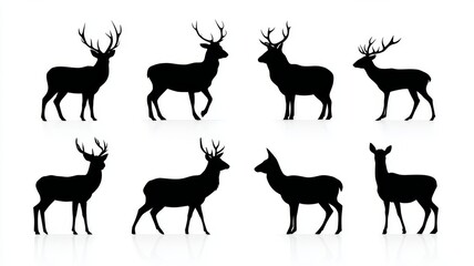 Set of male and female deer silhouettes in various poses on white background, flat vector wildlife illustration for forest, nature, and animal-themed design projects