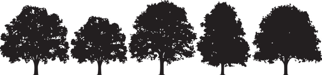 Obraz premium Silhouetted Trees in a Row: A captivating silhouette of five trees stands in a row, their intricate foliage displayed against the sky, symbolizing growth, strength, and nature's enduring presence.