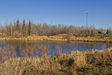 A Sunny Autumn Day at Pylypow