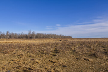 A Sunny Autumn Day At Elk Island