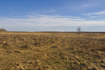 A Sunny Autumn Day At Elk Island