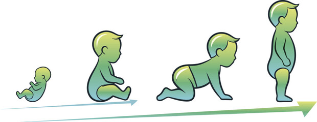 Naklejka premium Illustration of Baby Growth Stages: From Newborn to Toddler