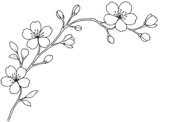 A monochrome floral vector background of sakura blossoms rendered with thick black outlines, adding bold contrast and bringing out the soft, graceful structure of each petal in an artistic style.