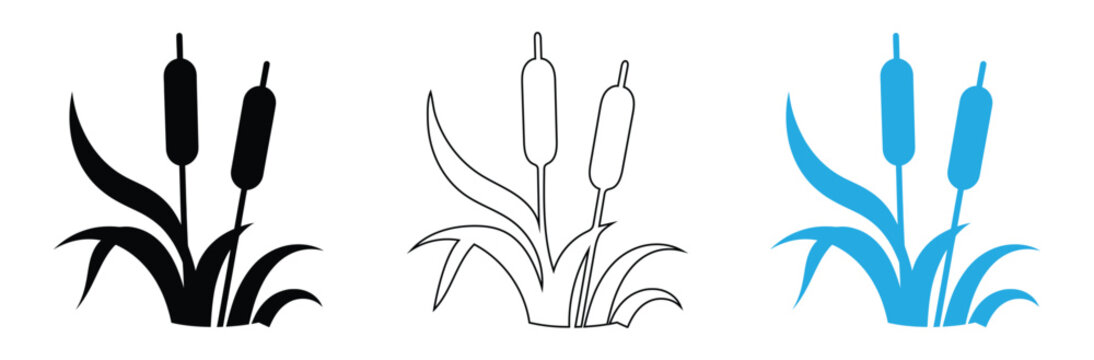 Set of cattail icons and silhouettes Reed vector icon, cane symbol. Simple, flat design for web or mobile app,Cattail Plant icon. Silhouette of cattails and reeds. Cattail wetland plant in solid icon.